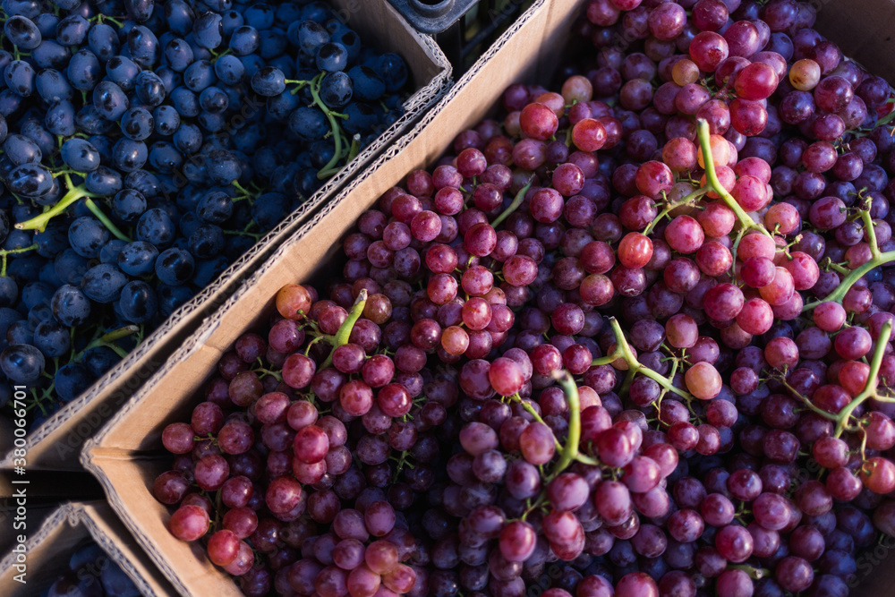 Fruit stand in Urumqi