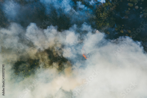 Forest Fire or Wildfire, Aerial View. Burning Wood Land with many Smoke.