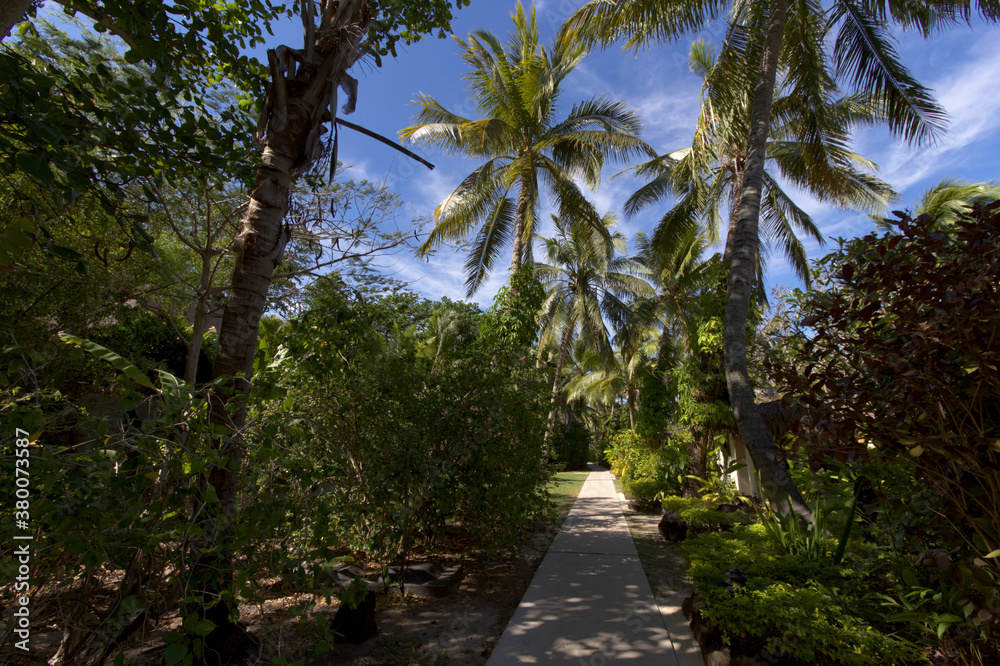 Obraz premium Nature Tokoriki Island Fiji