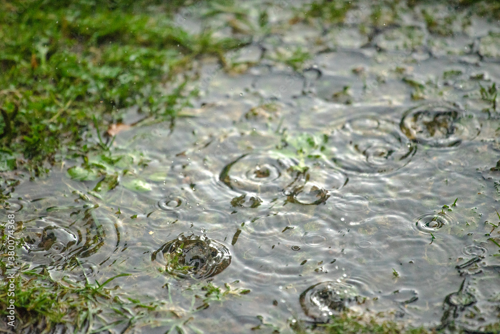 Circles on the puddle from the rain drops. Circles on the puddle from the rain drops.