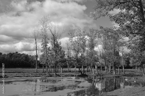 Fall landscape Hemmingford Quebec province Canada photo