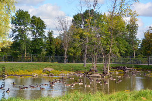 Fall landscape Hemmingford Quebec province Canada photo