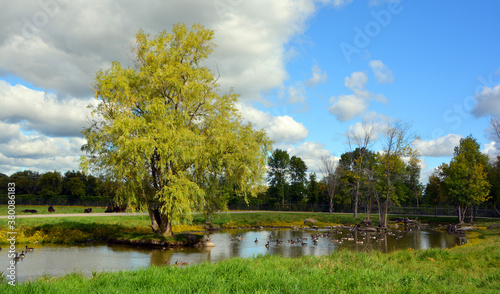 Summer garden landscape Montreal Quebec Canada photo