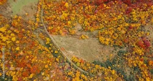 Flying over beautiful autumn forest. Rural road among yellow and red trees. Aerial view. Tilt.