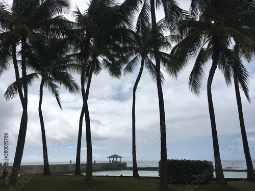 Scenic silhouette view of palm trees with the Pacific Ocean in the background, near Kuhio Beach Park on the island of Hawaii photo