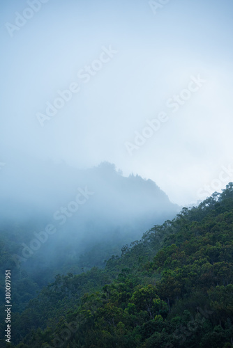 Misty Fog covering the mountain slope, Fall/Winter Image