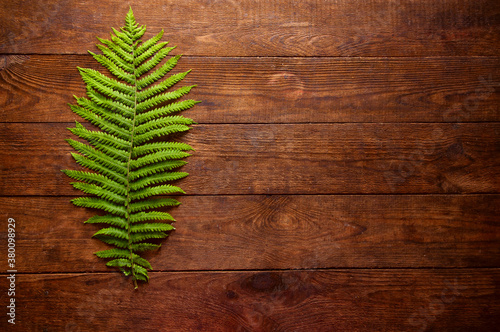 green fern leaf lies on brown wooden background