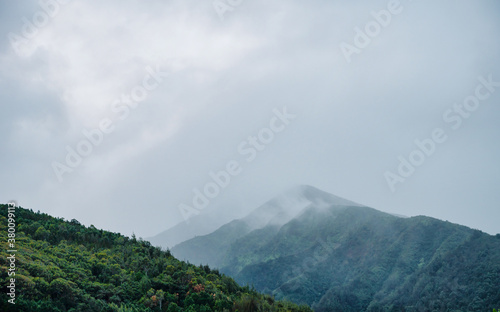 Misty Fog covering the mountain slope, Fall/Winter Image