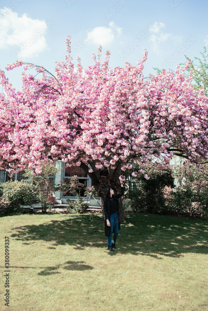 Young woman under the big pink tree Young woman under the big pink tree