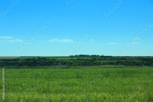 Beautiful landscape with green grass on sunny day