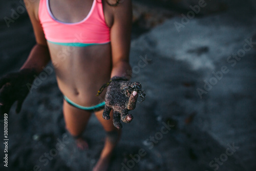 Young fhands holding crab on tropical Bali beach photo