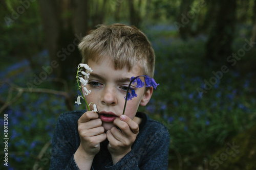 A boy holding a bluebell and a white bluebell in front of his face. photo