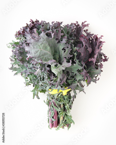 bundle of Russian Kale on white background