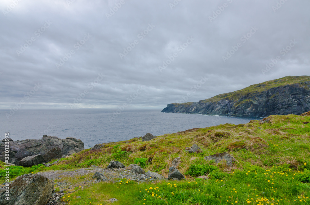 Newfoundland coast Newfoundland coast