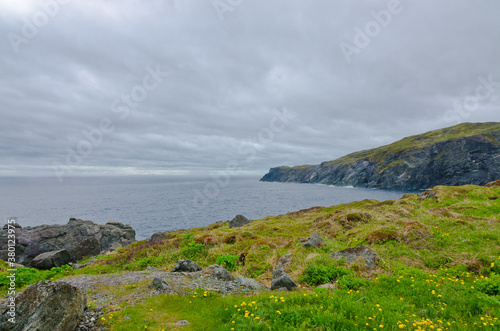 Newfoundland coast