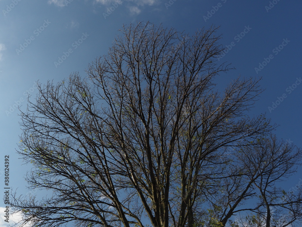 Fototapeta premium OLYMPUS DIGITAL CAMERA