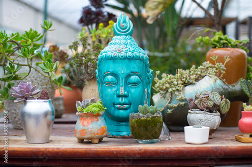 plant on the table in the florist shop photo