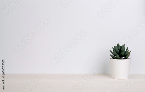 Mini plant succulent on wooden white desk, little plant and leaf in potted on table, copy space, nobody, tree in pot for decoration in home, texture background, spring and summer. © N_studio