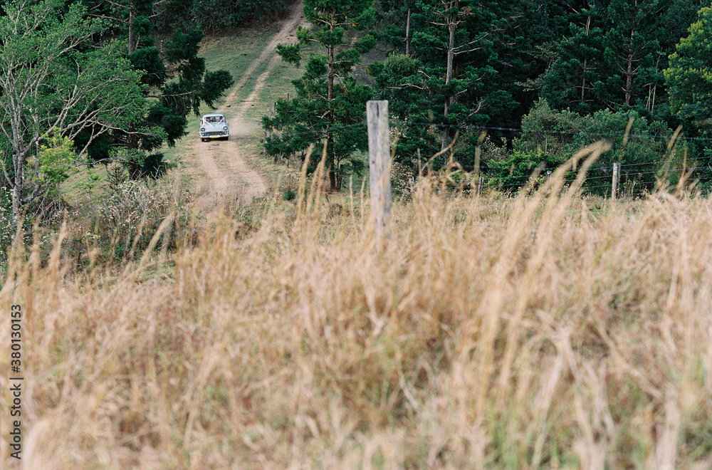 The long road The long road