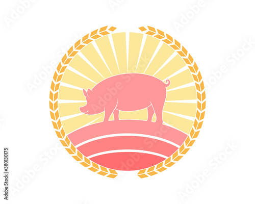 Pig farm with circle wheat