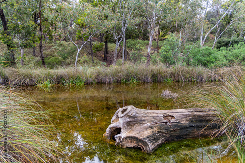 Newport lake, the area was created from a former Bluestone Quarry and is a Sanctuary for Waterbirds & Wildlife. photo