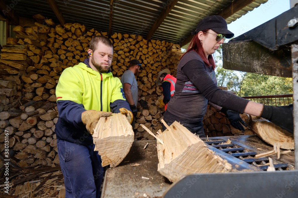 Four Adults Splitting and Stacking Firewood Four Adults Splitting and Stacking Firewood