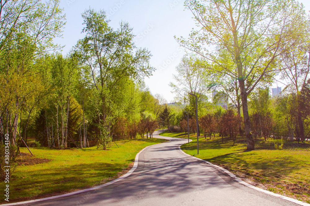 Fototapeta premium A paved road through park in summer China