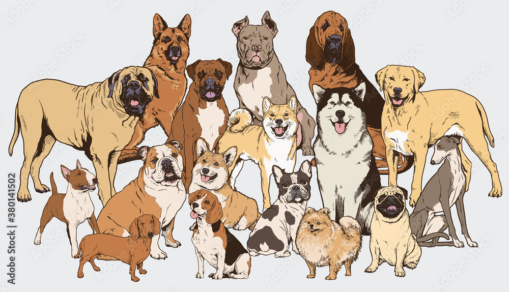 Dog illustration collection. Realistic vector illustrations of different breads of dogs. Each completed and isolated. Dog illustration collection. Realistic vector illustrations of different breads of dogs. Each completed and isolated.