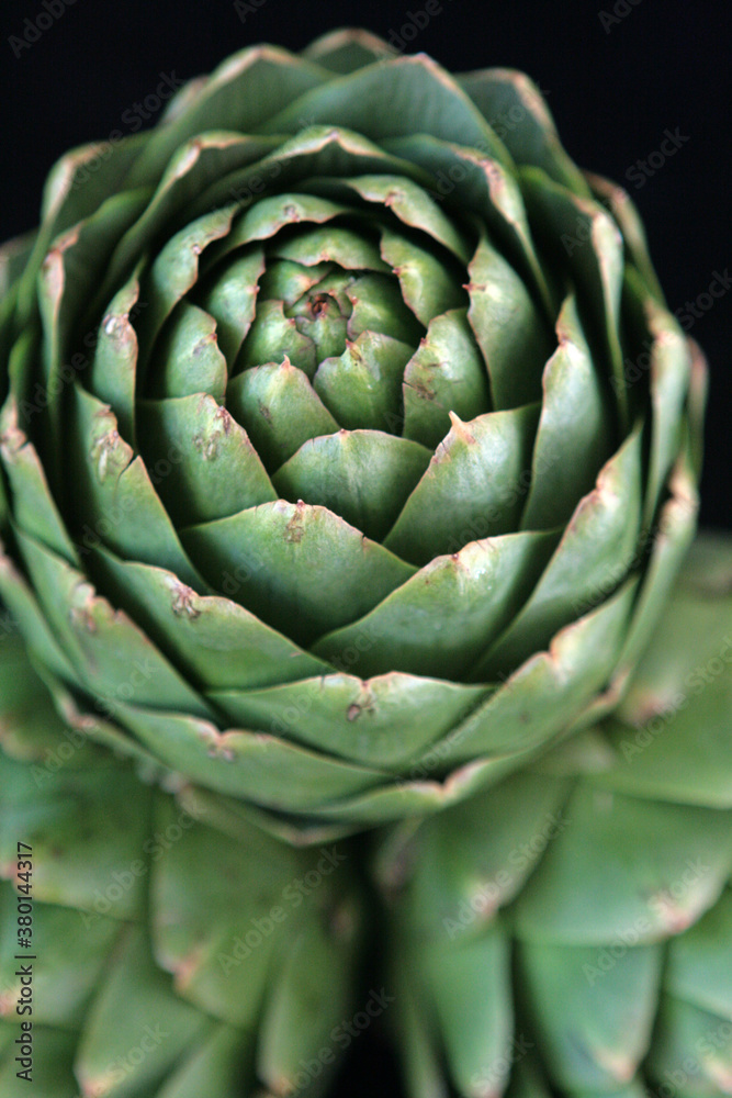 Artichokes Artichokes