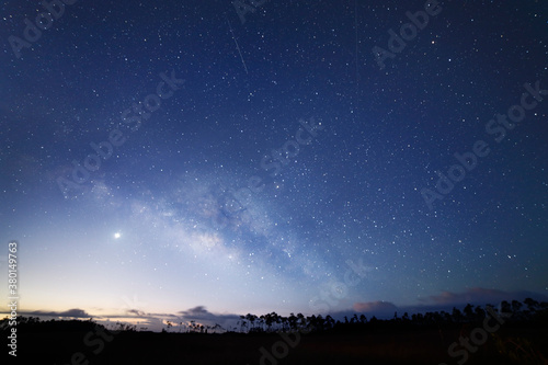 Night Sky over Everglades National Park photo