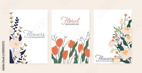 Set of greeting card with elegant flowers vector flat illustration. Collection of beautiful vertical postcard decorated with peony and tulips isolated. Festive blooming template with place for text