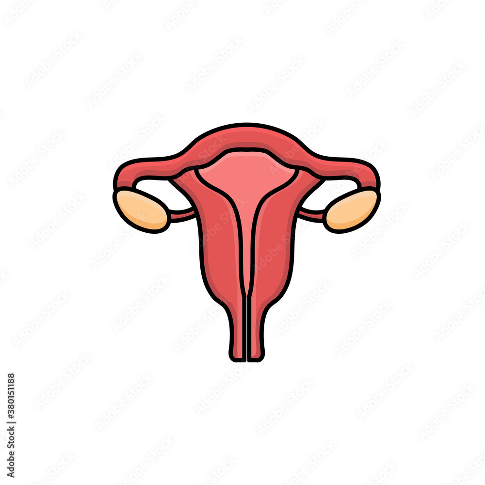 uterus vector design template illustration uterus vector design template illustration