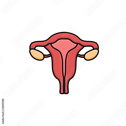 uterus vector design template illustration