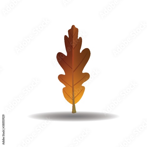 Leaf icon