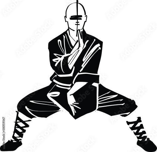 silhouette of a kung fu master