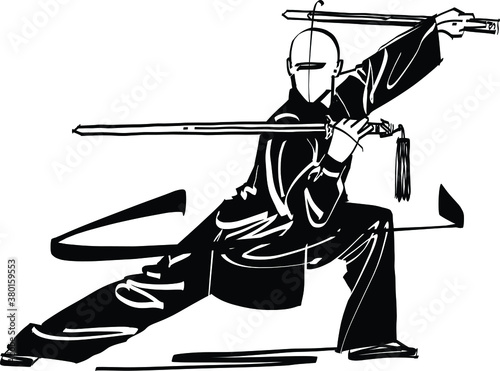 silhouette of a kung fu master