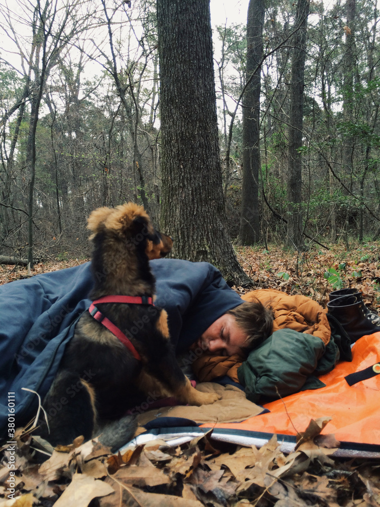 Man Sleeping in the Woods with Puppy on the Lookout Stock Photo | Adobe ...