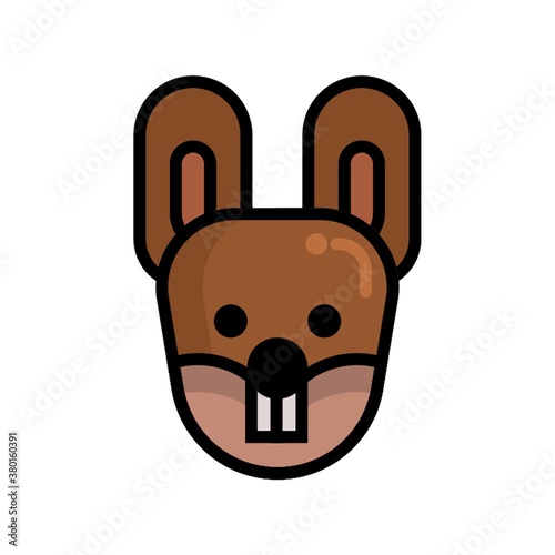 rabbit