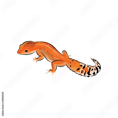 gecko