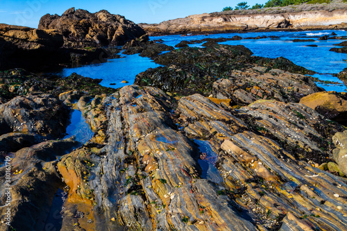 Layers of  Sand Stone and Mudstone With Pebbles, Weston Beach,Point Lobos SNR, Big Sur, California, USA