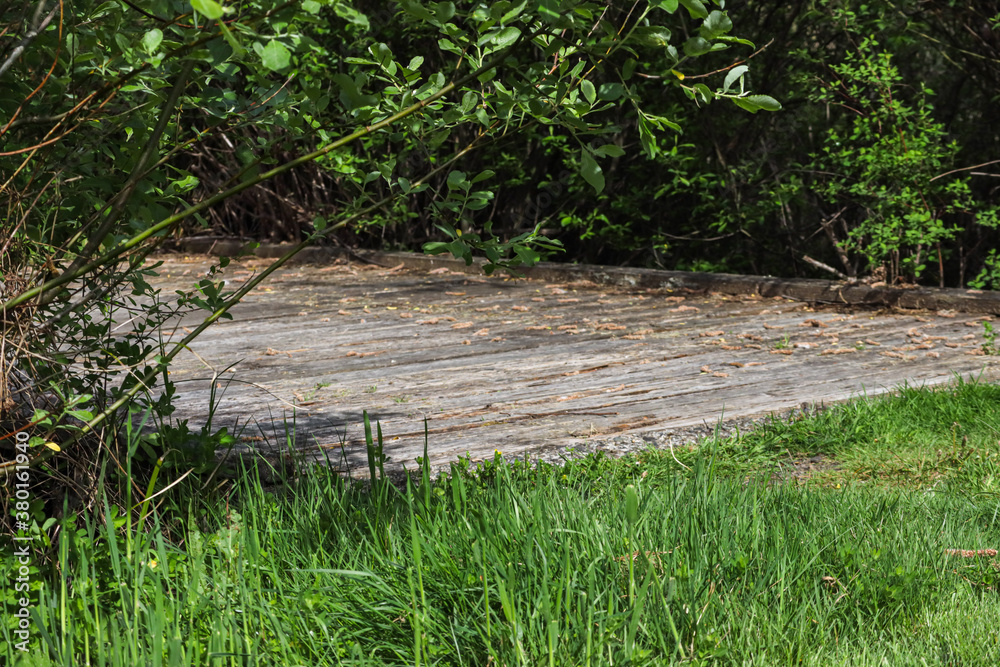 grass and weeds in front of small wooden bridge grass and weeds in front of small wooden bridge