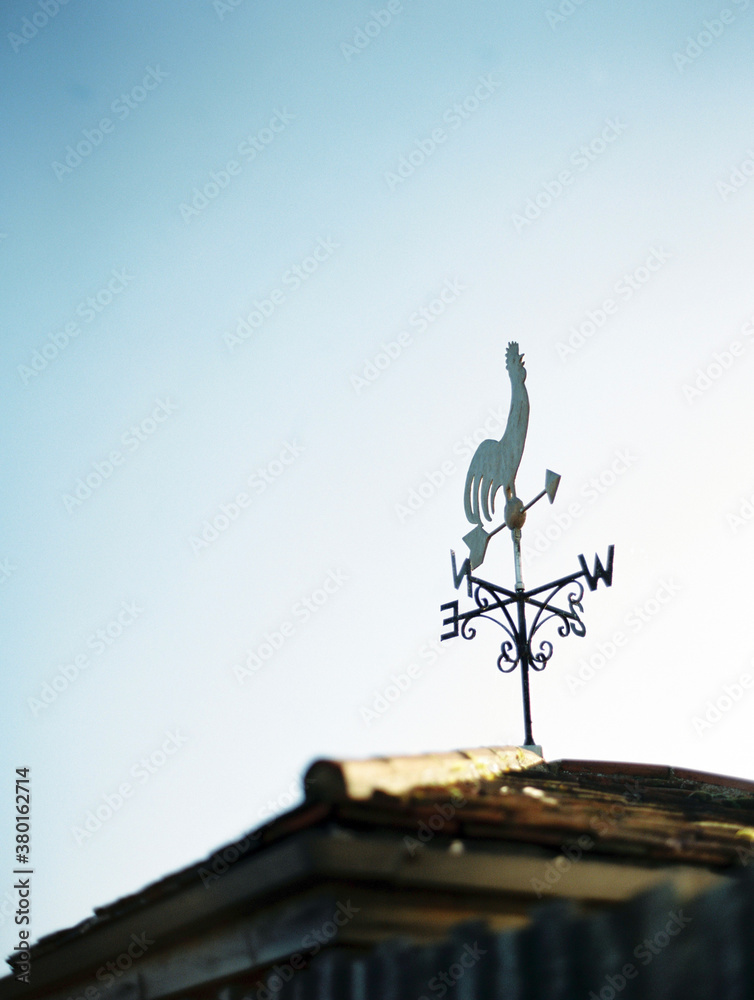 weather vane weather vane