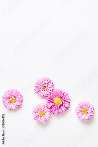floral pattern. beautiful flowers on a white background. festive concert. place for text  flat layout