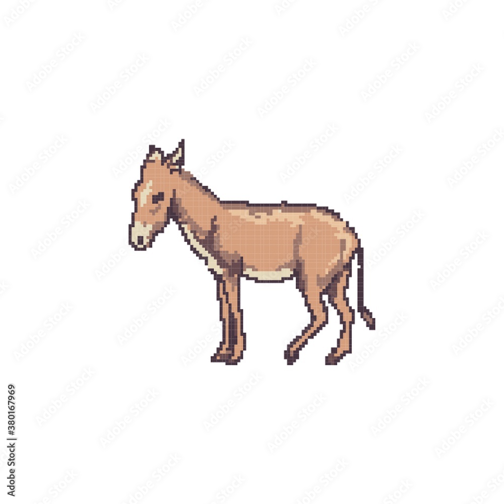 Donkey Donkey