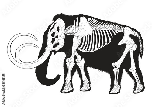 Mammoth