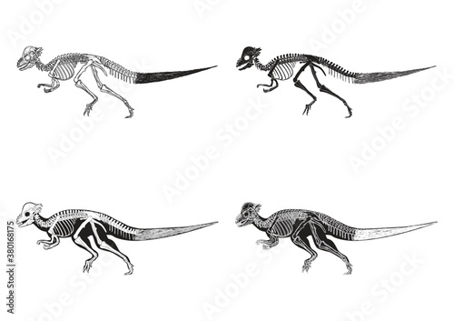 Set of corythosaurus icons