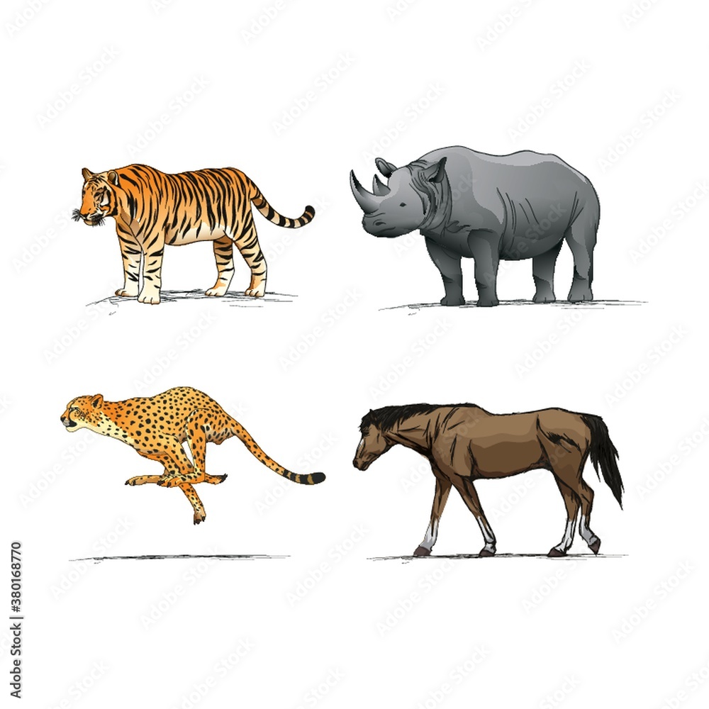 Collection of animals Collection of animals