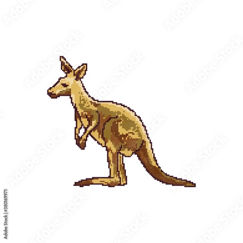 Kangaroo
