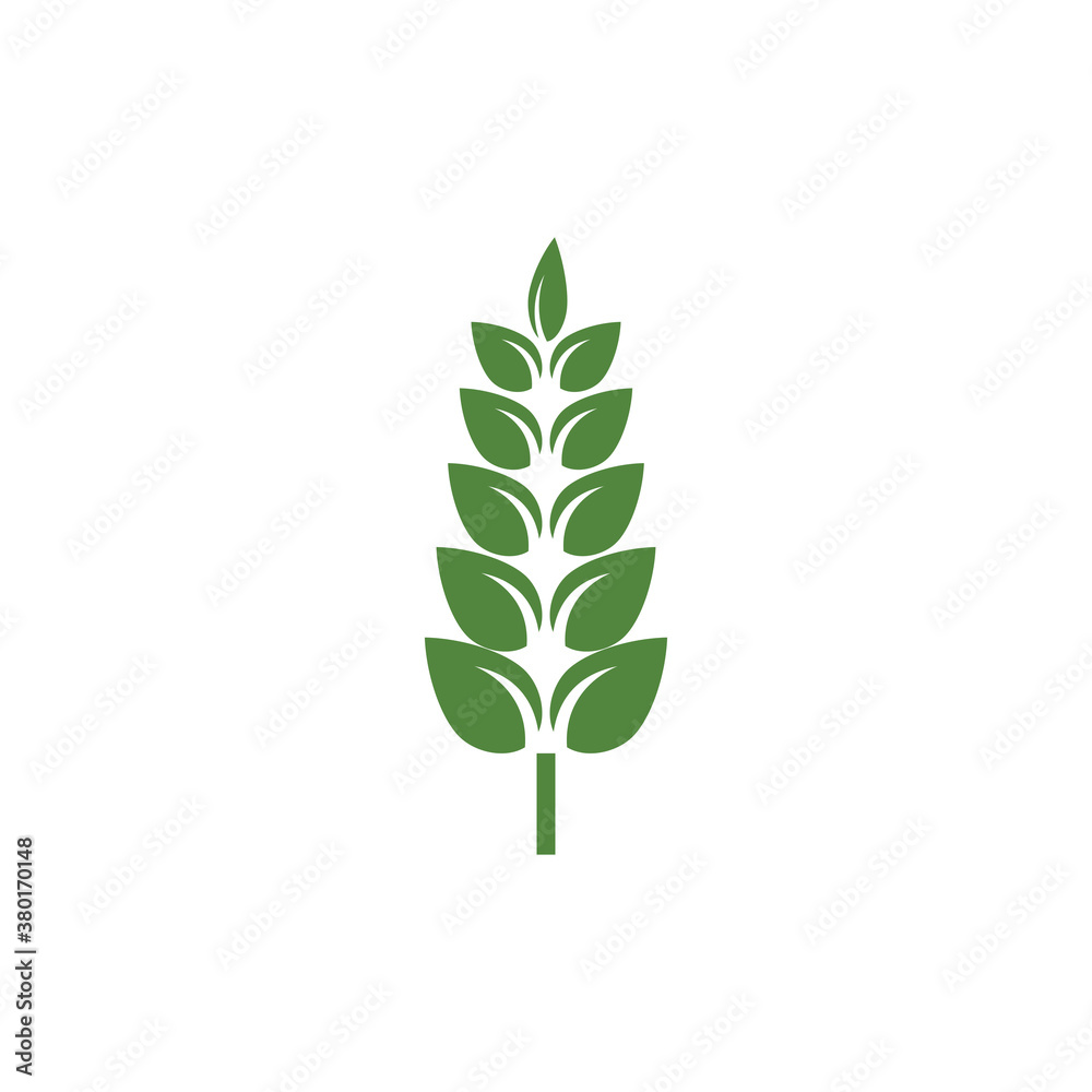 Fototapeta premium Leaf Logo Template vector symbol