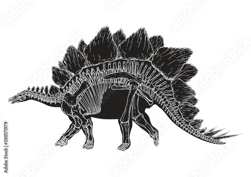 Stegosaurus © captainvector